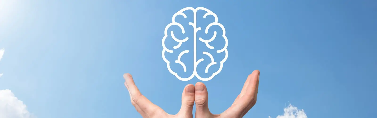 Key Minerals for Brain
