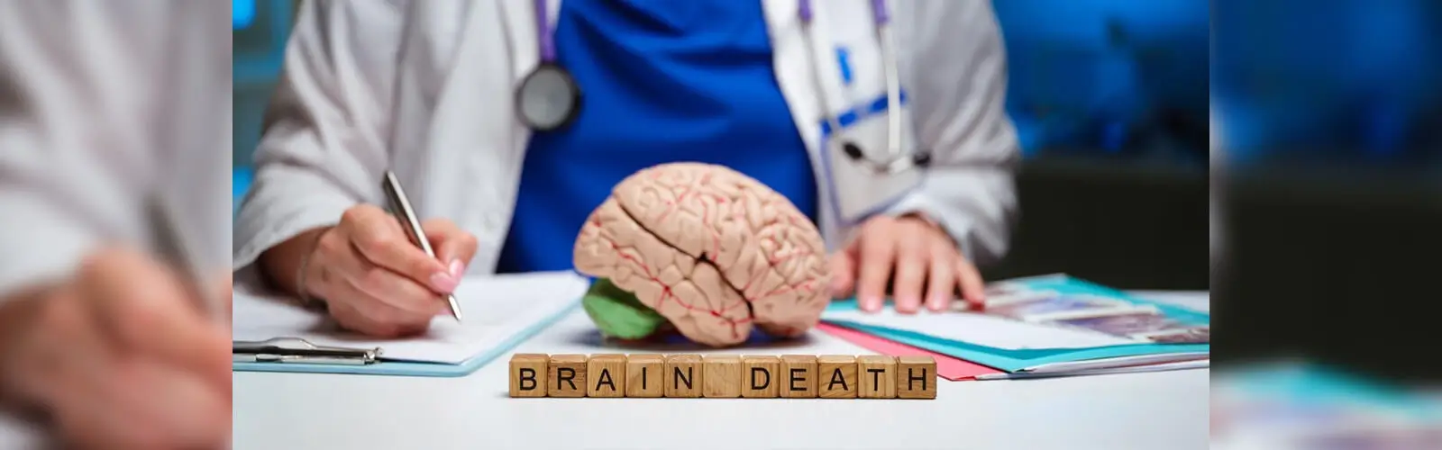 What Is Brain Death
