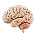 Brain Tumors